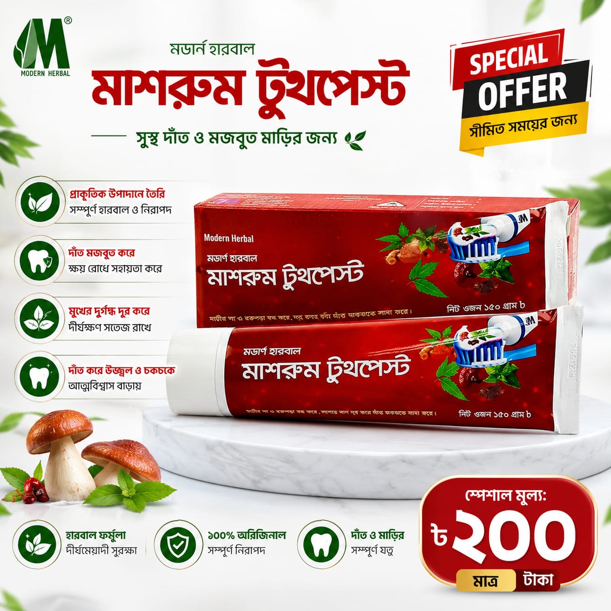 Modern Herbal Mushroom Toothpaste